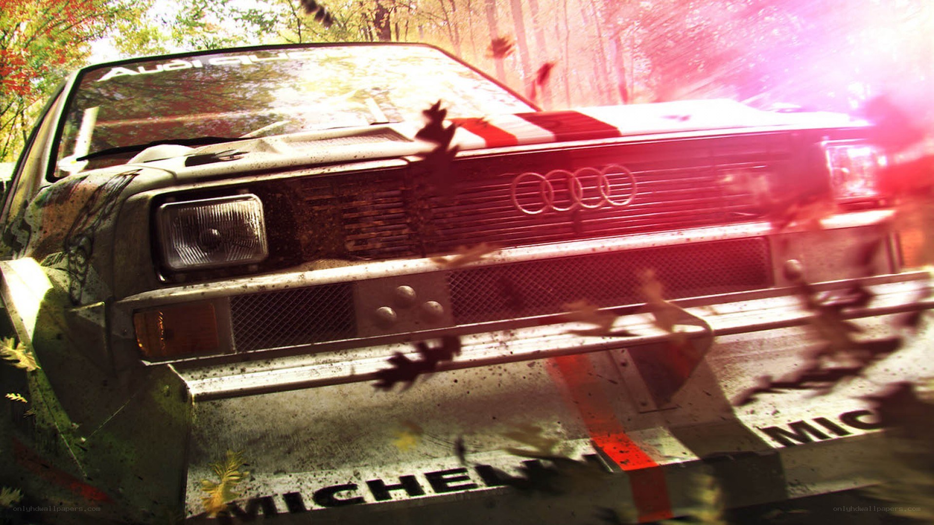 Audi rally car in forest