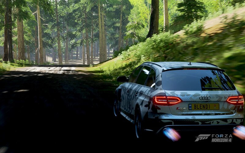 Audi RS4 in Forest