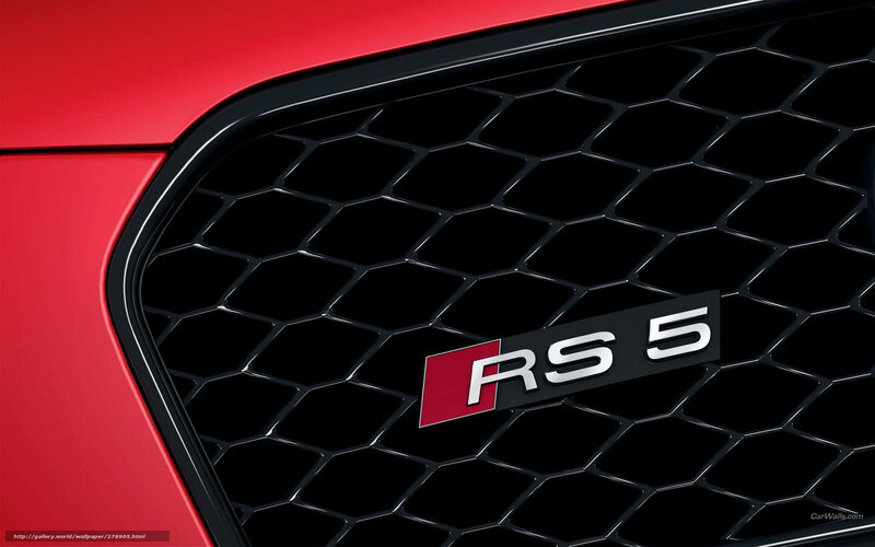 Audi RS5 Grille