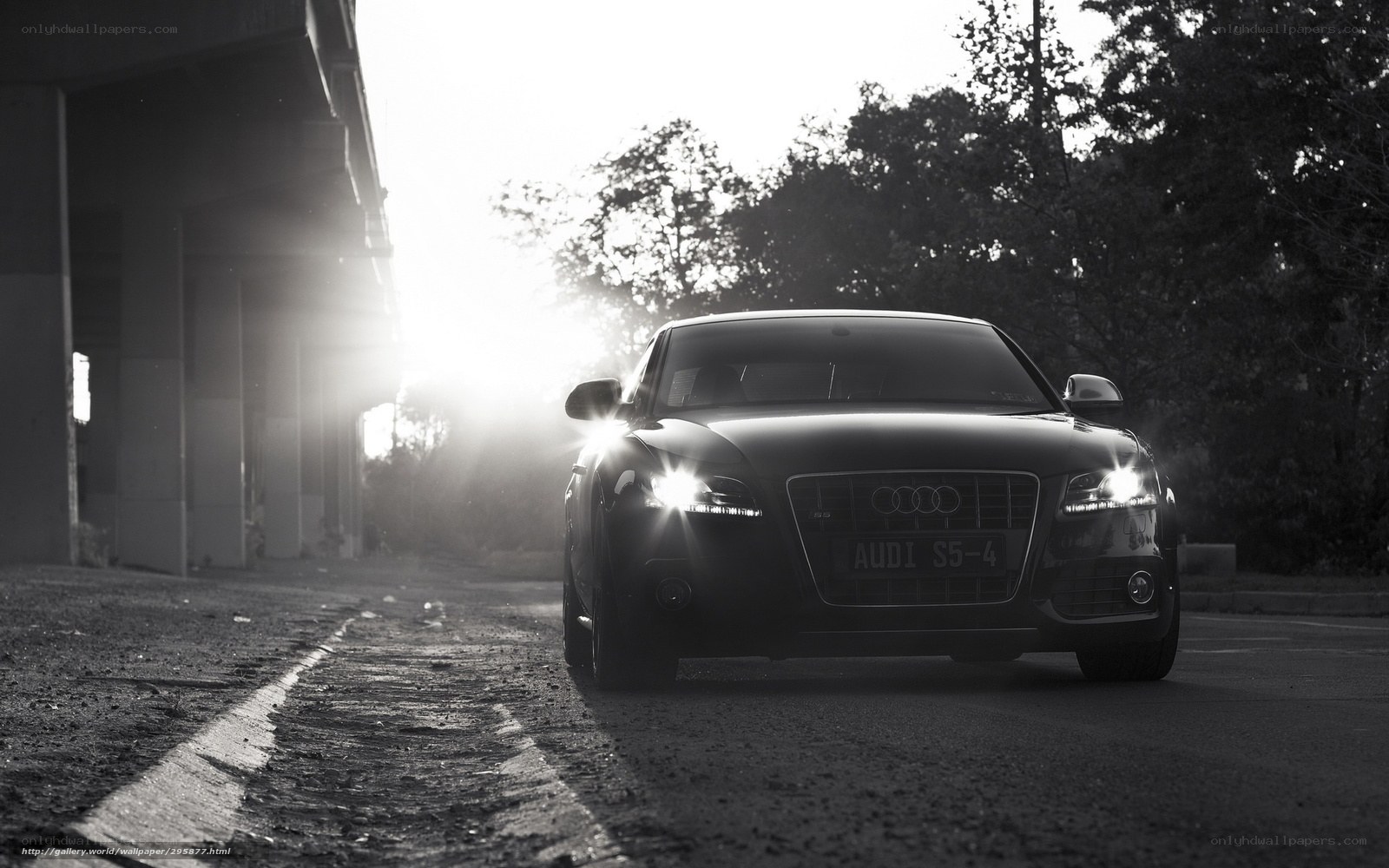 Audi S5-4 at sunset