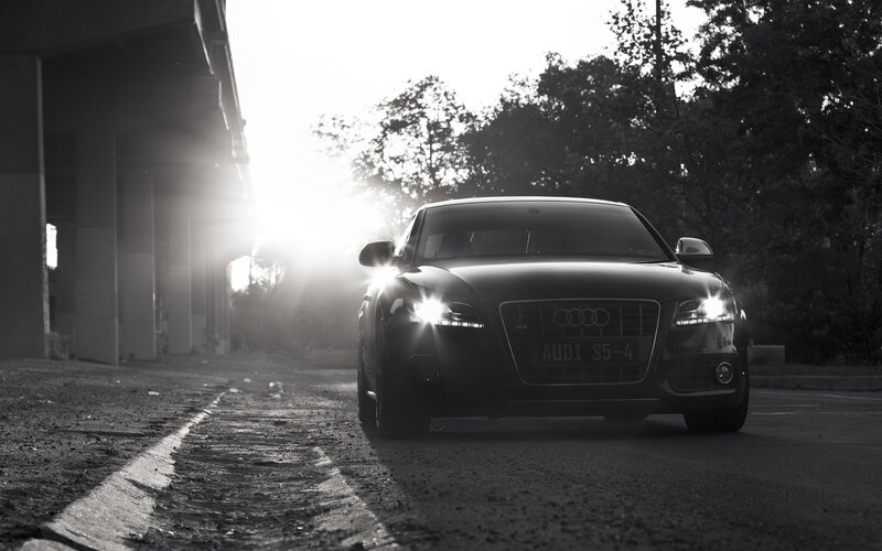 Audi S5-4 in the sun