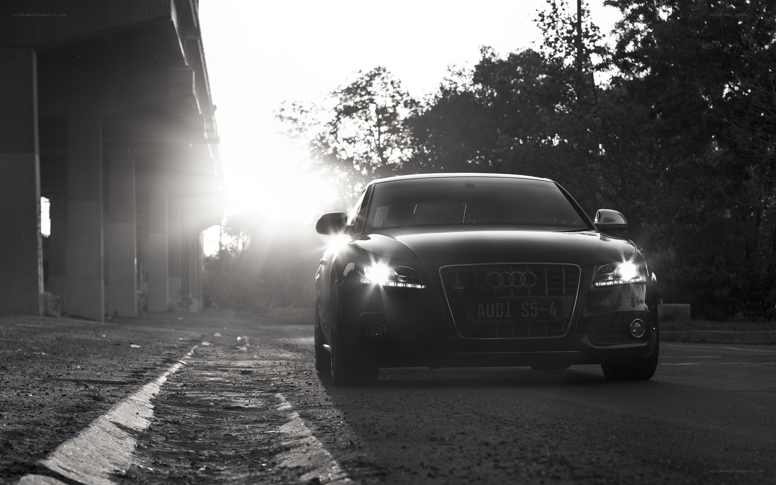 Audi S5-4 in the sun