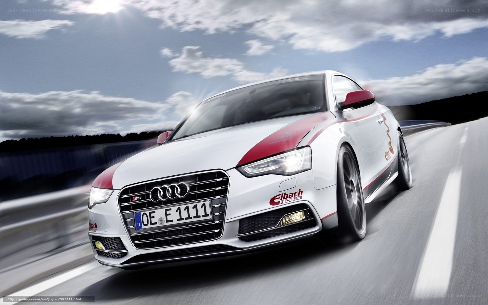 Audi S5 on a racetrack