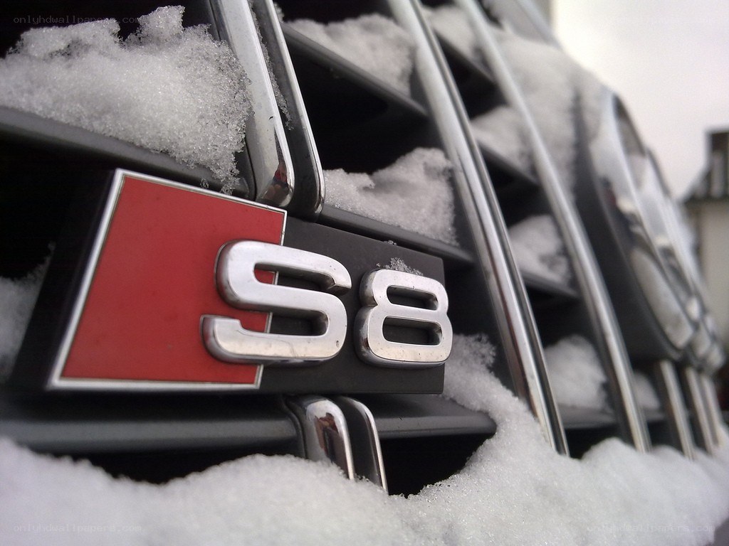 Audi S8 badge in snow