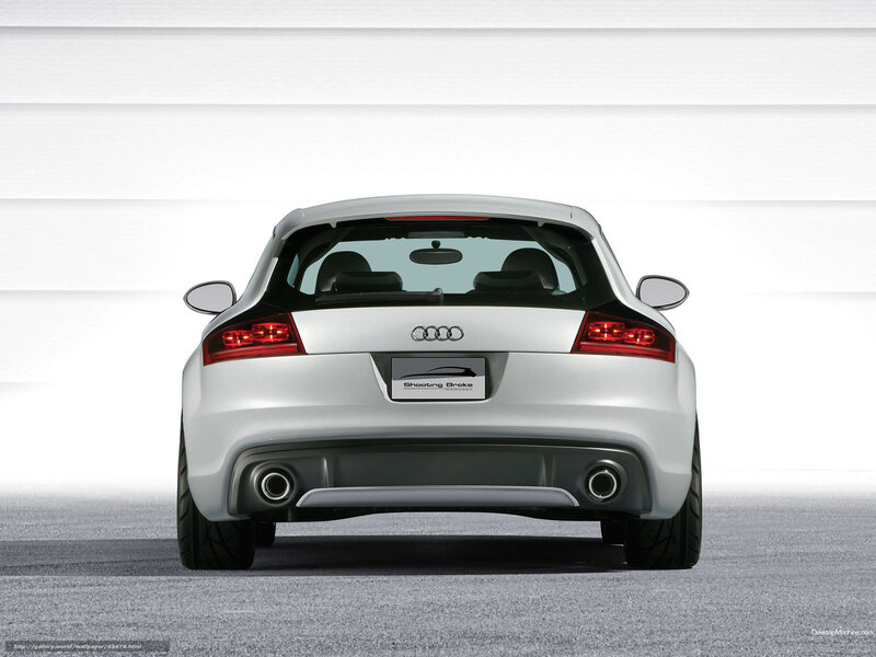 Audi Shooting Brake rear view