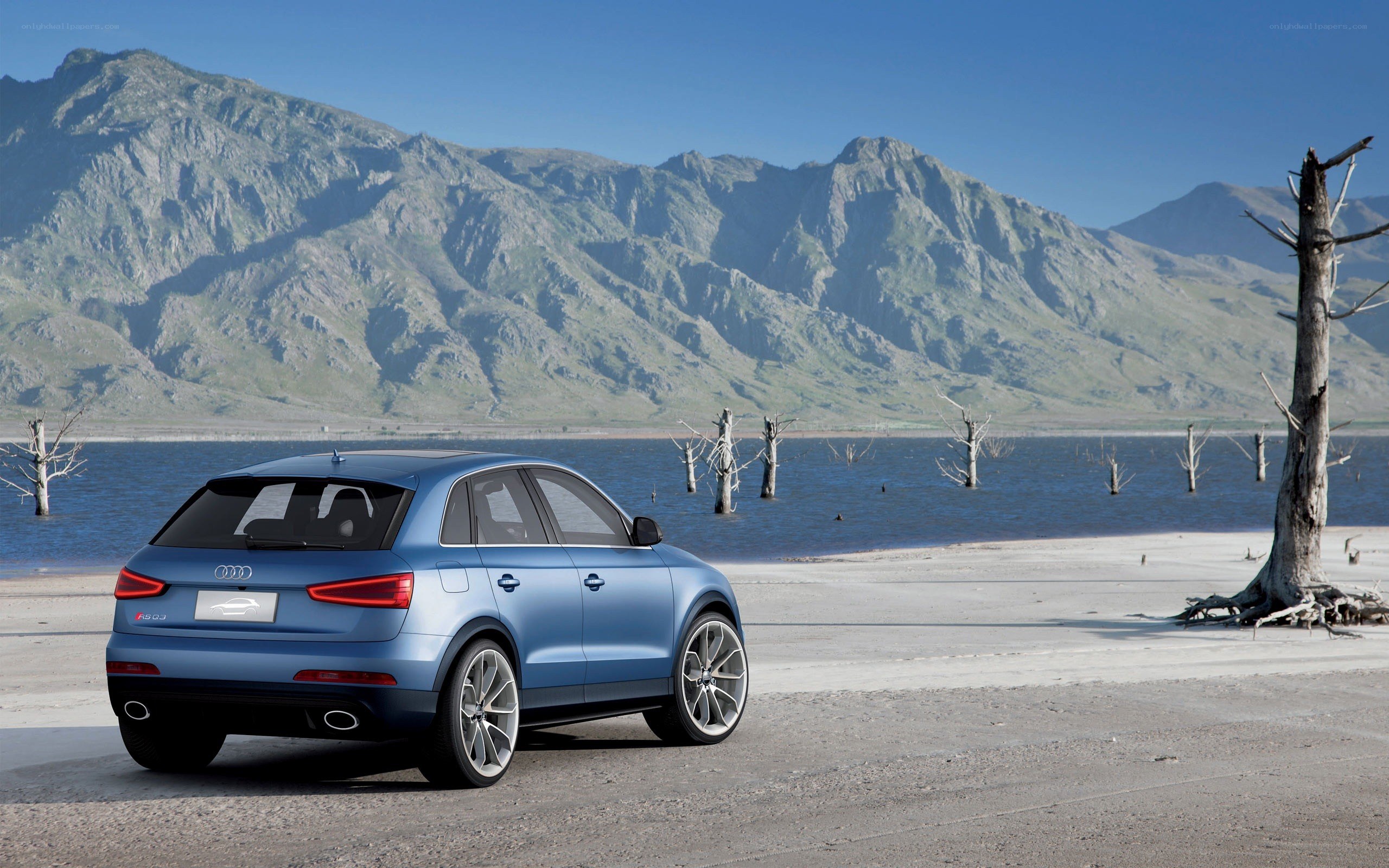 Audi SQ5 by a lake