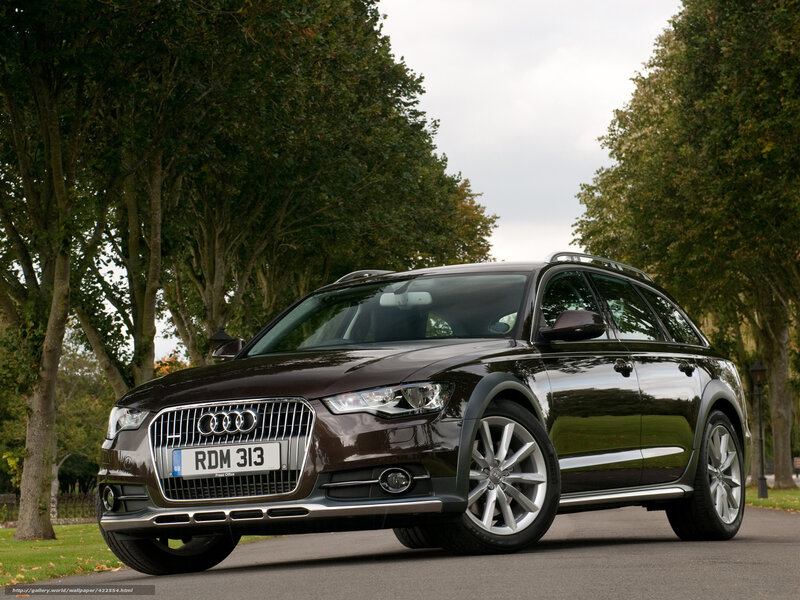 Audi station wagon on a tree-lined road