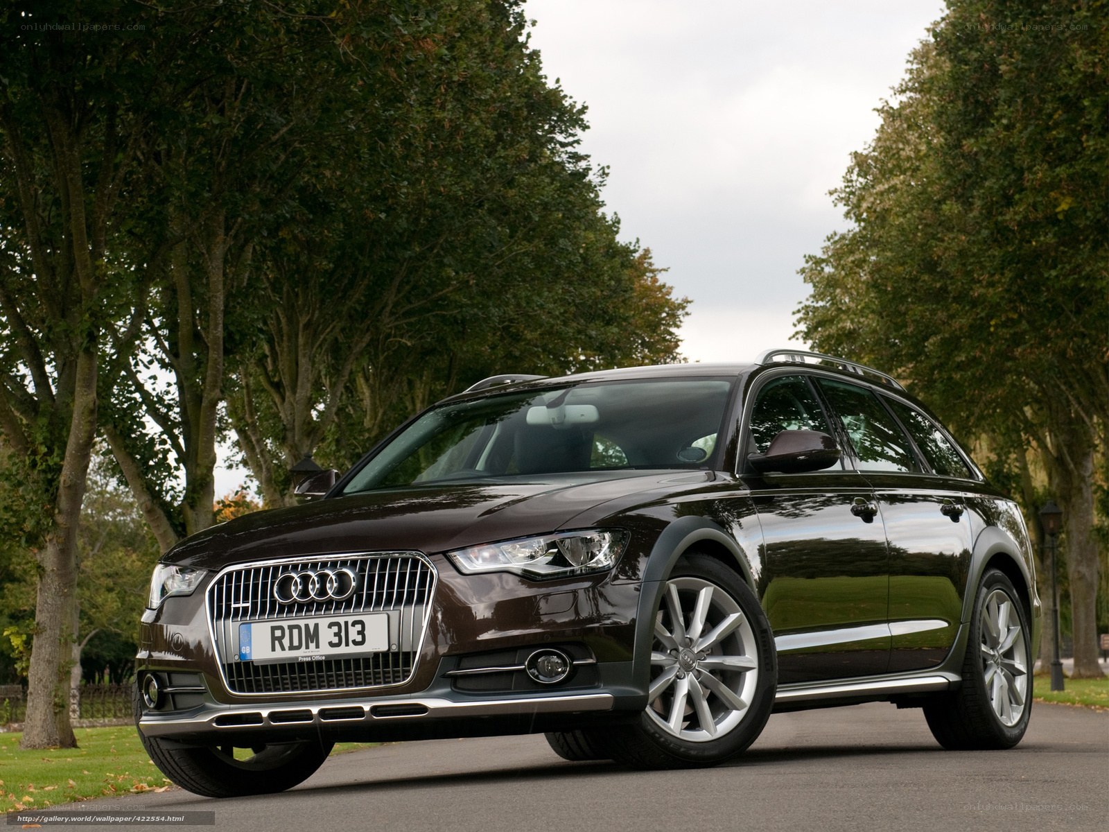 Audi station wagon on a tree-lined road