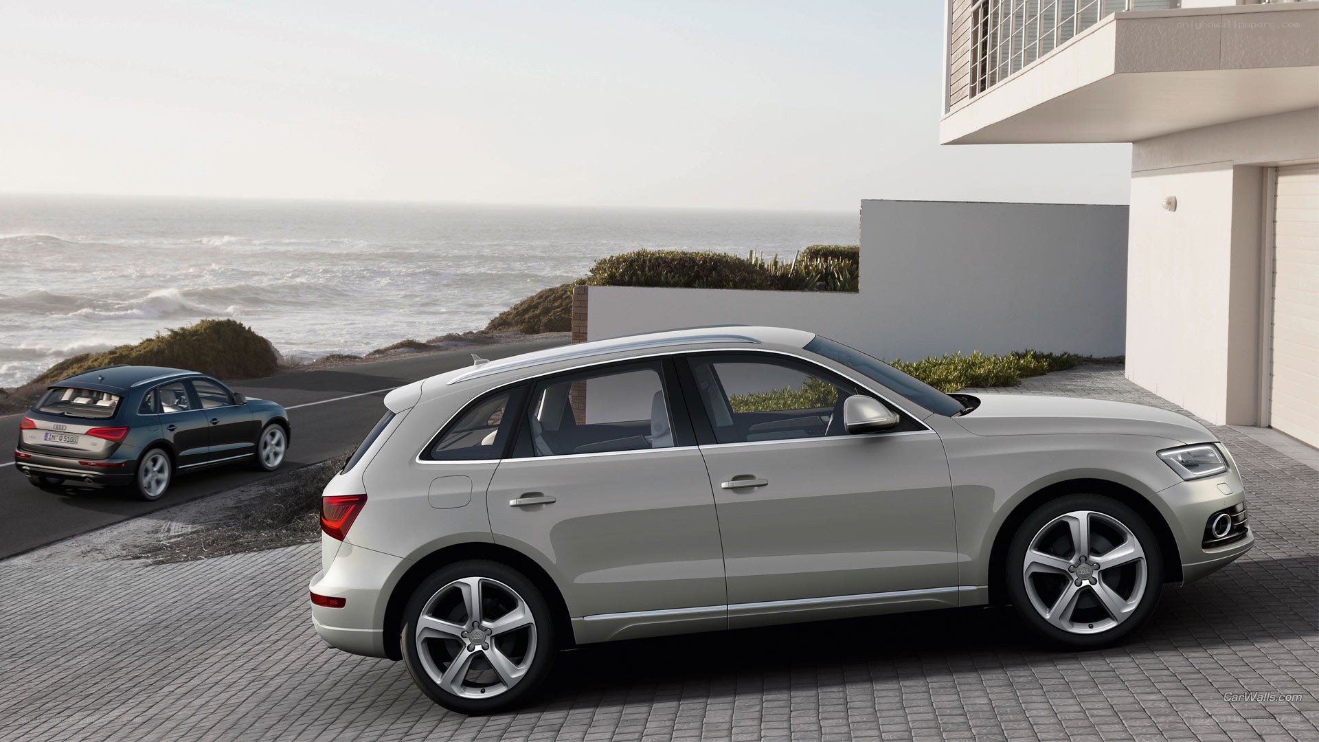 Audi SUVs by the coast