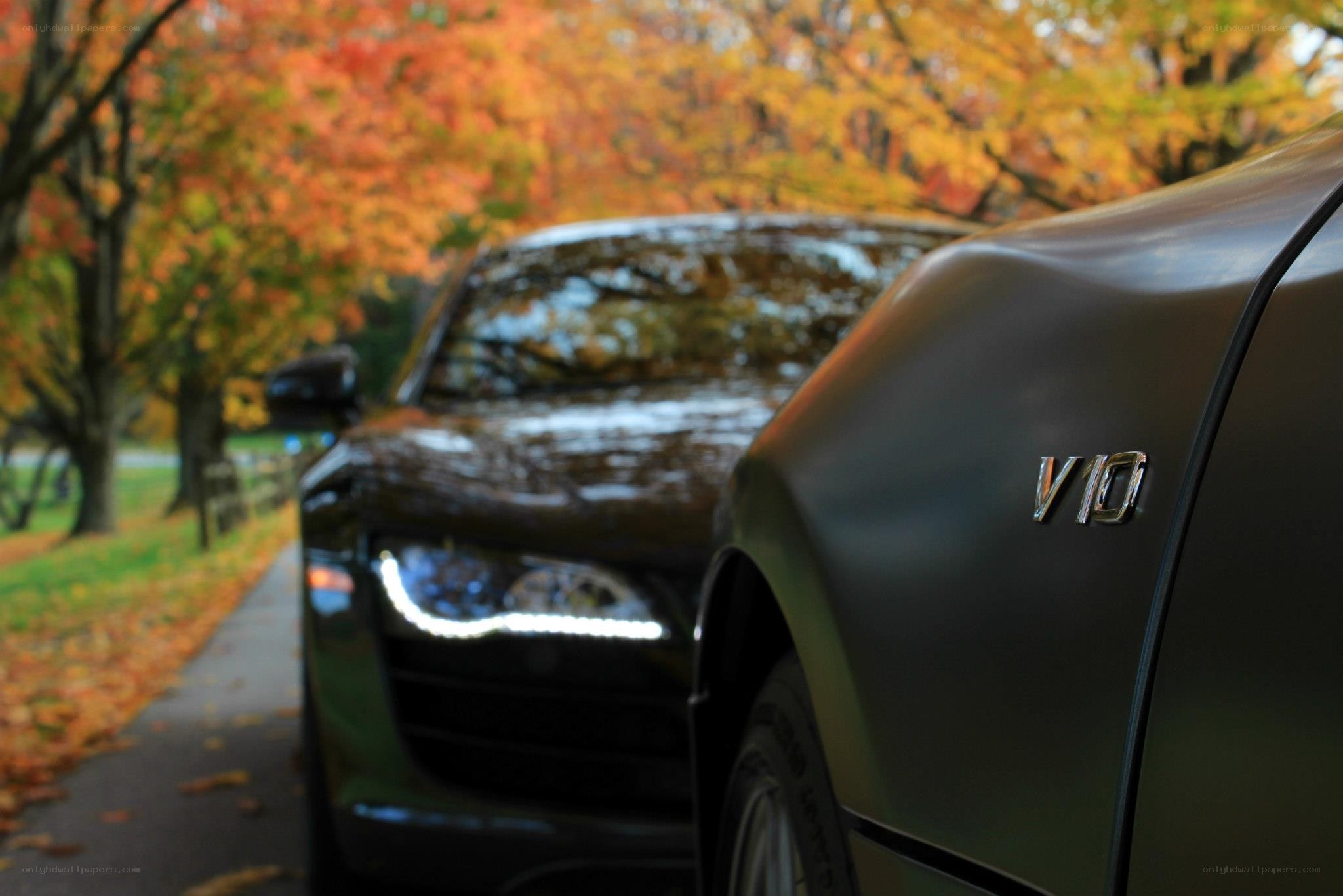 Audi V10 in autumn