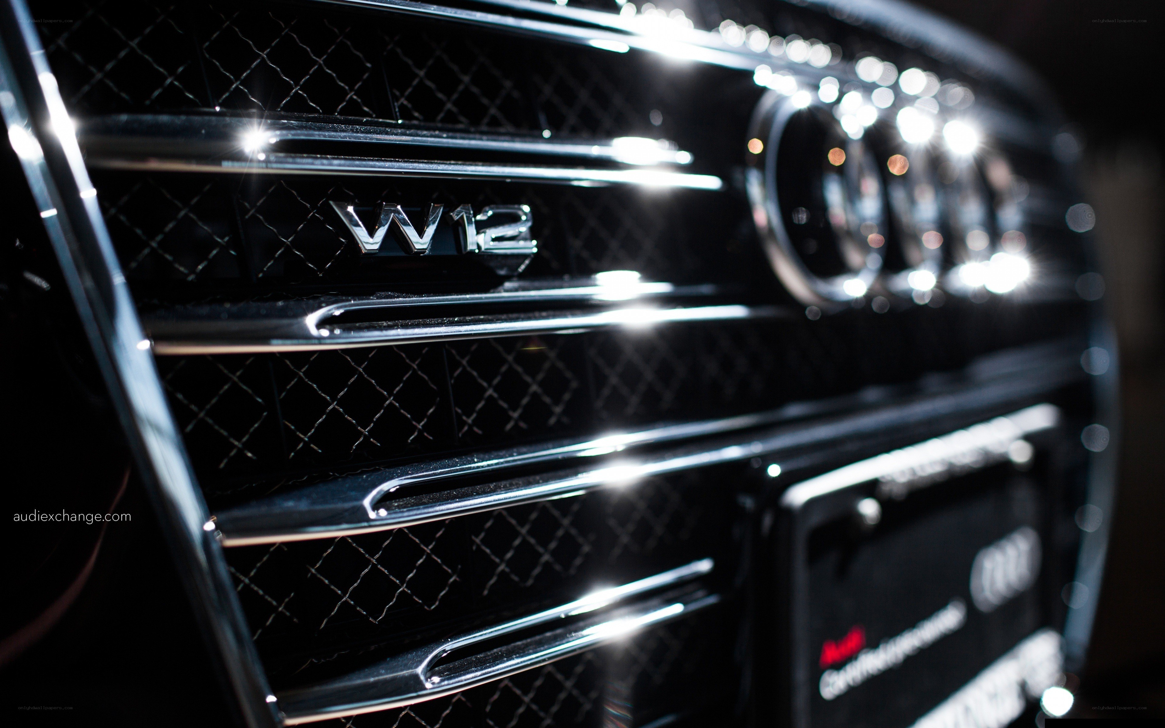 Audi W12 front grille