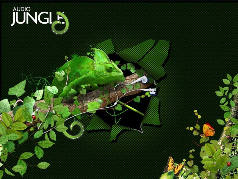 Audio Jungle chameleon wallpaper