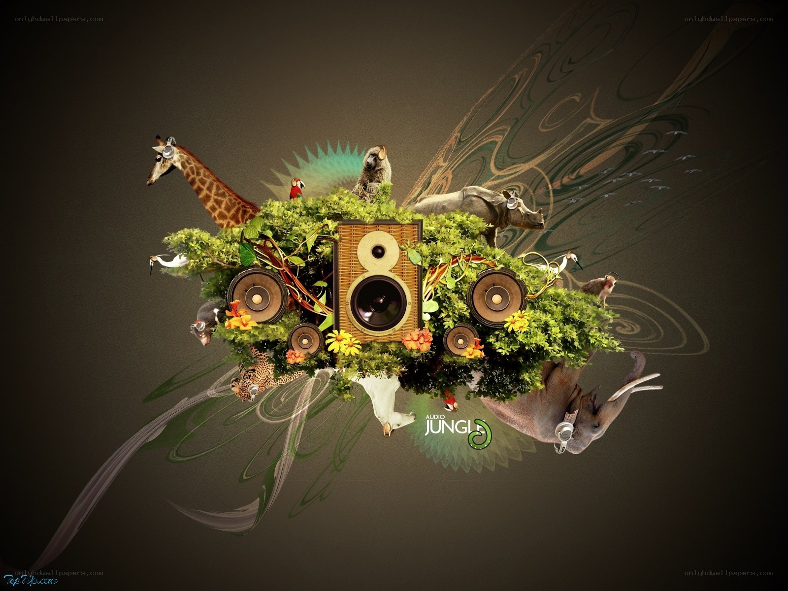 Audio Jungle Collage