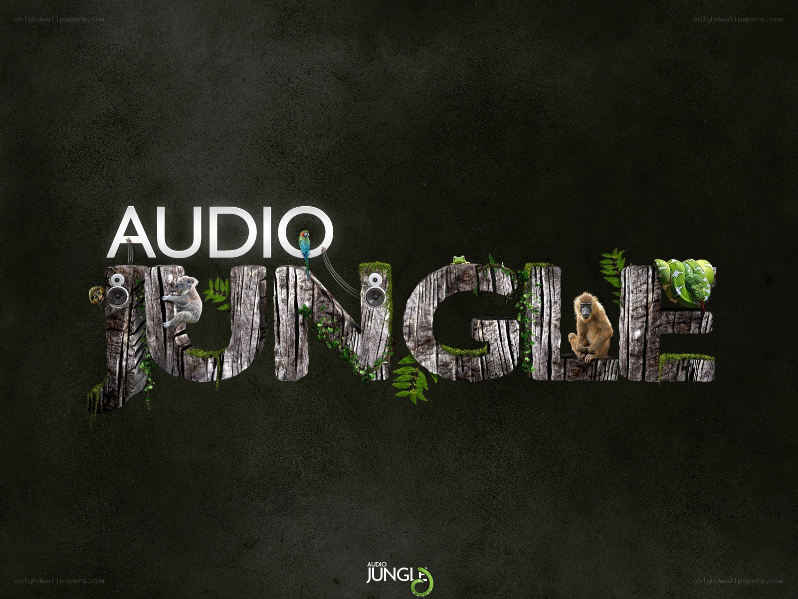 Audio Jungle logo design