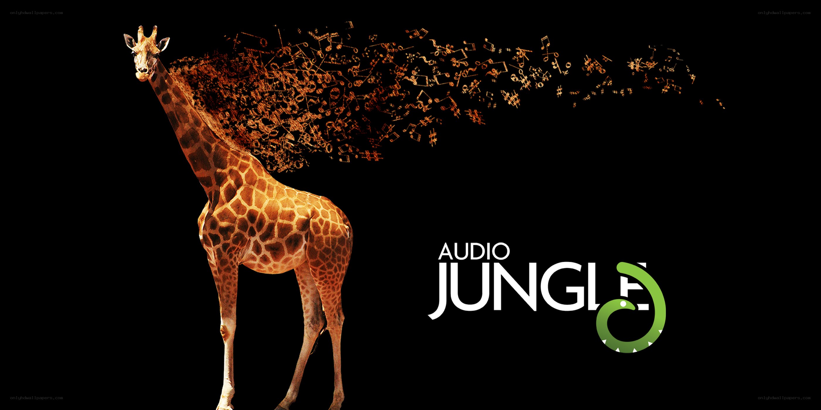 Audio Jungle logo with giraffe
