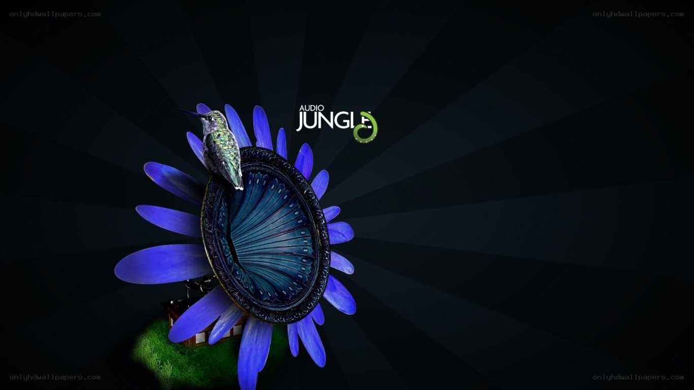 Audio Jungle logo with hummingbird
