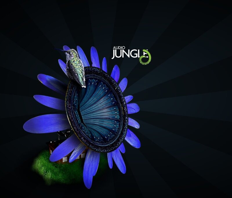 Audio Jungle logo with hummingbird