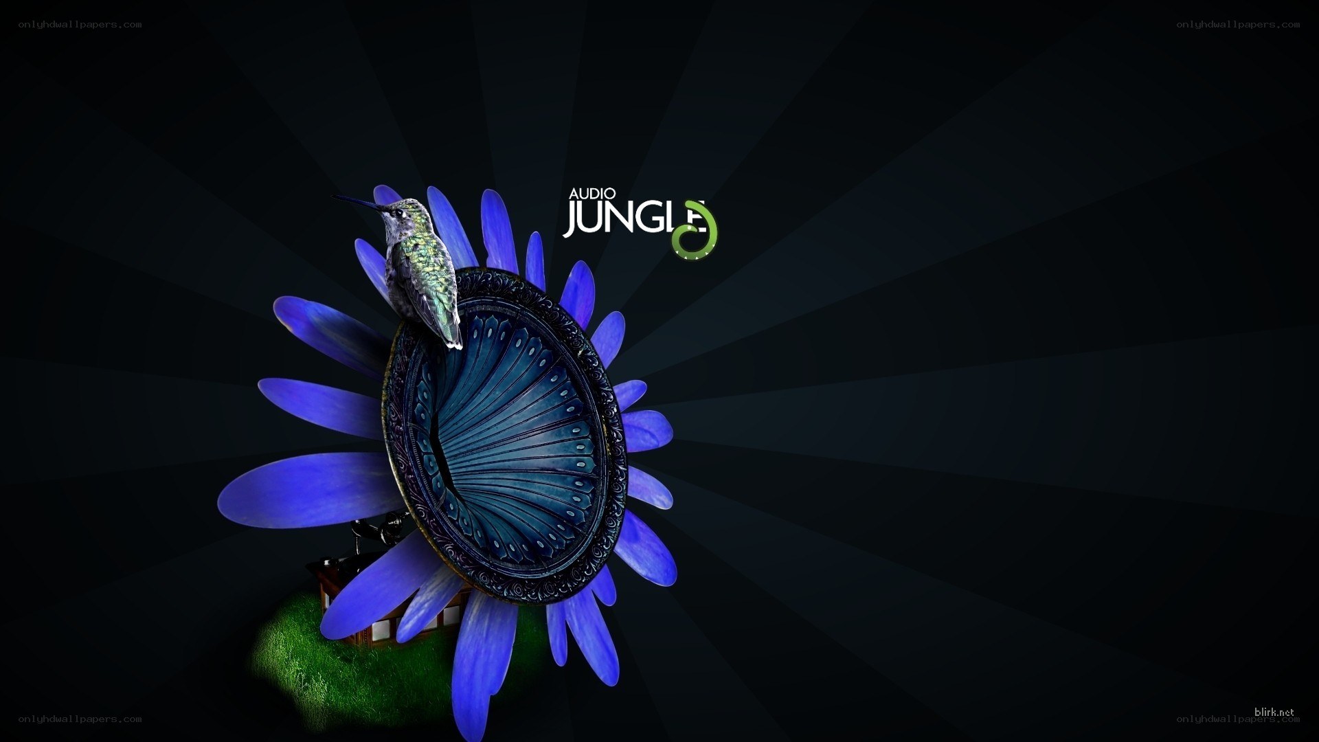 Audio Jungle logo with hummingbird