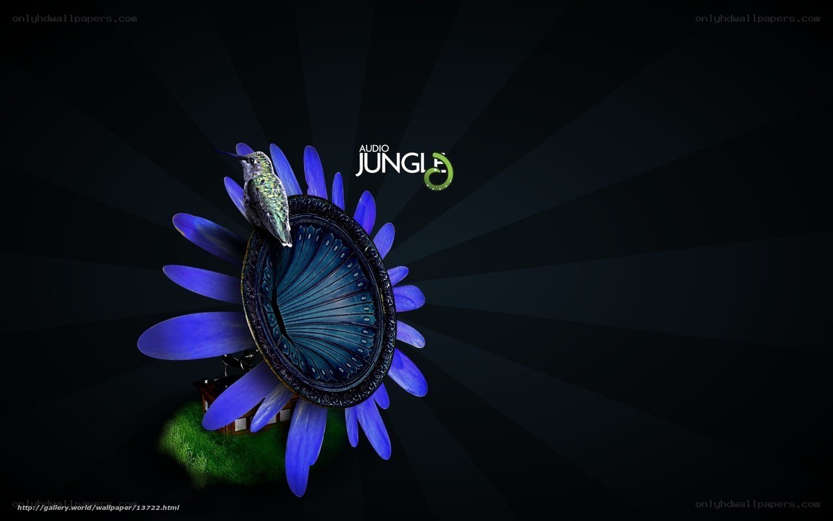 Audio Jungle logo with hummingbird