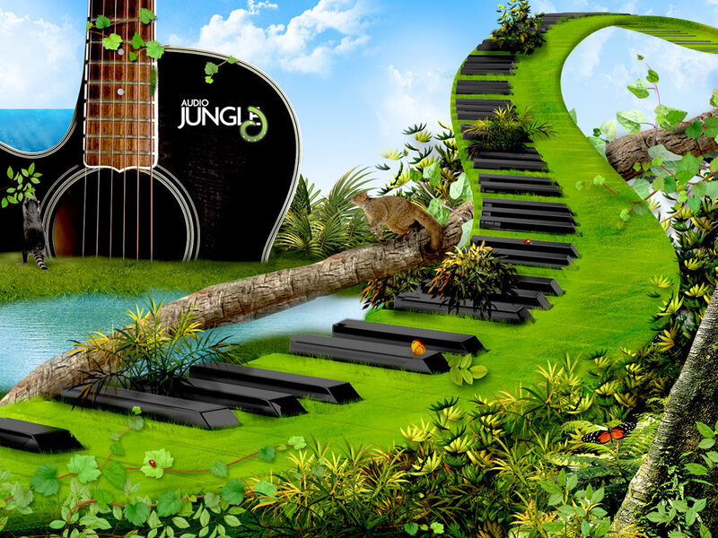 Audio Jungle music concept
