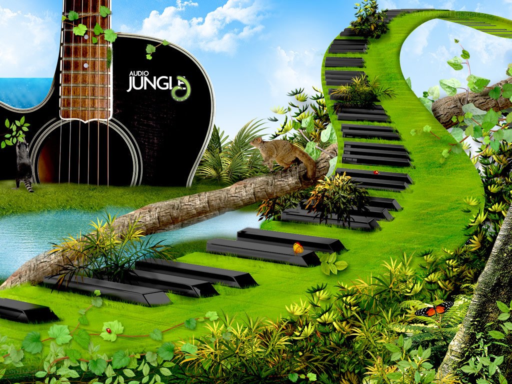 Audio Jungle music concept