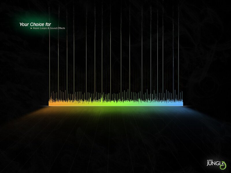 Audio Waveform Display