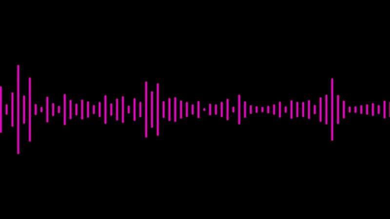 Audio Waveform — Magenta