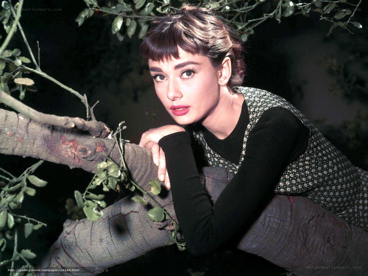 Audrey Hepburn in a tree