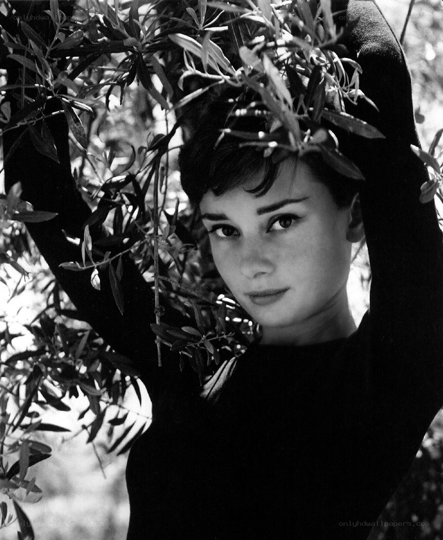 Audrey Hepburn in olive branches