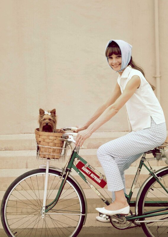 Audrey Hepburn on a bicycle