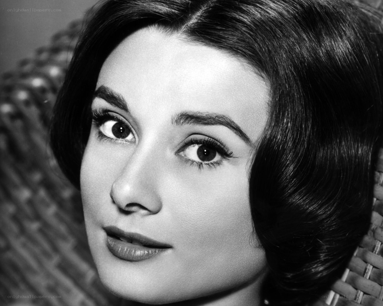 Audrey Hepburn portrait