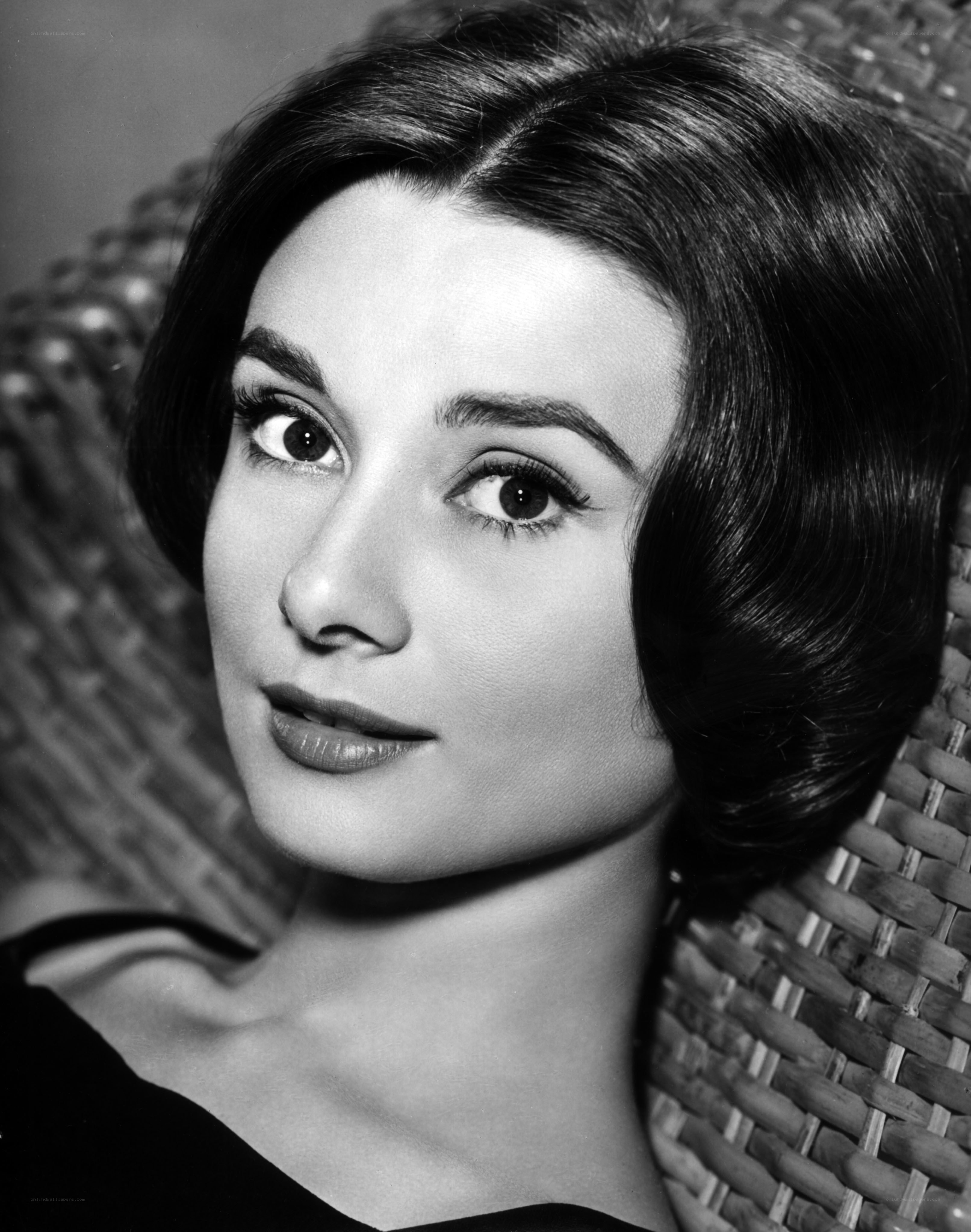 Audrey Hepburn portrait