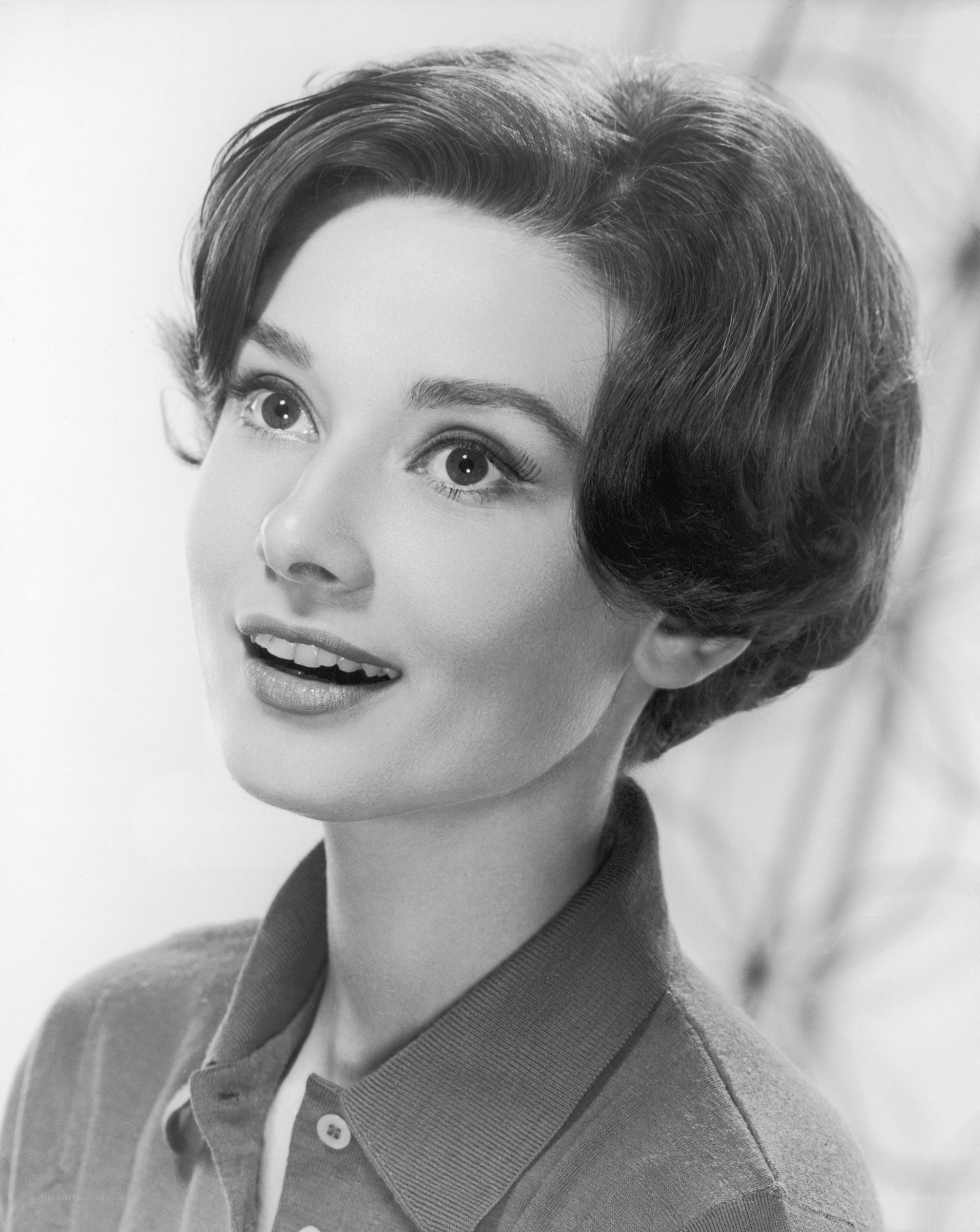 Audrey Hepburn portrait