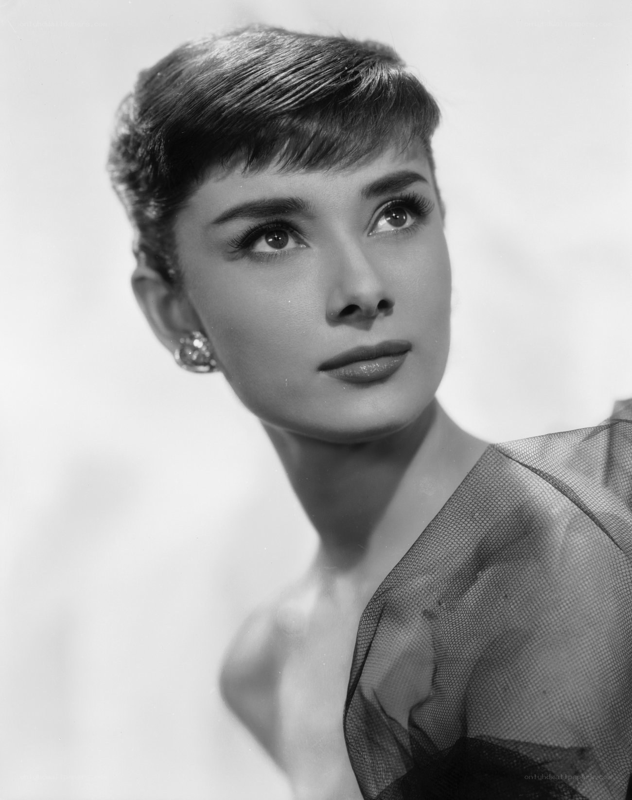 Audrey Hepburn portrait