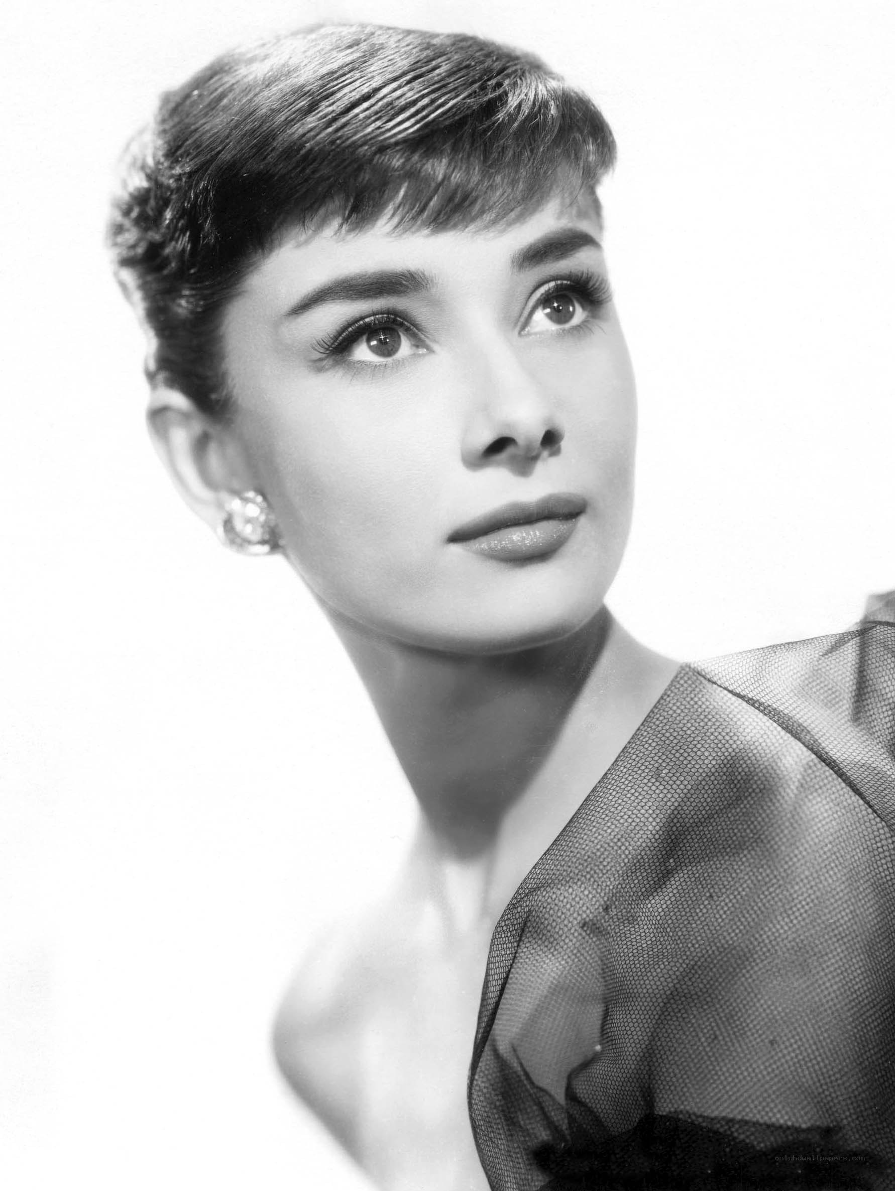Audrey Hepburn portrait