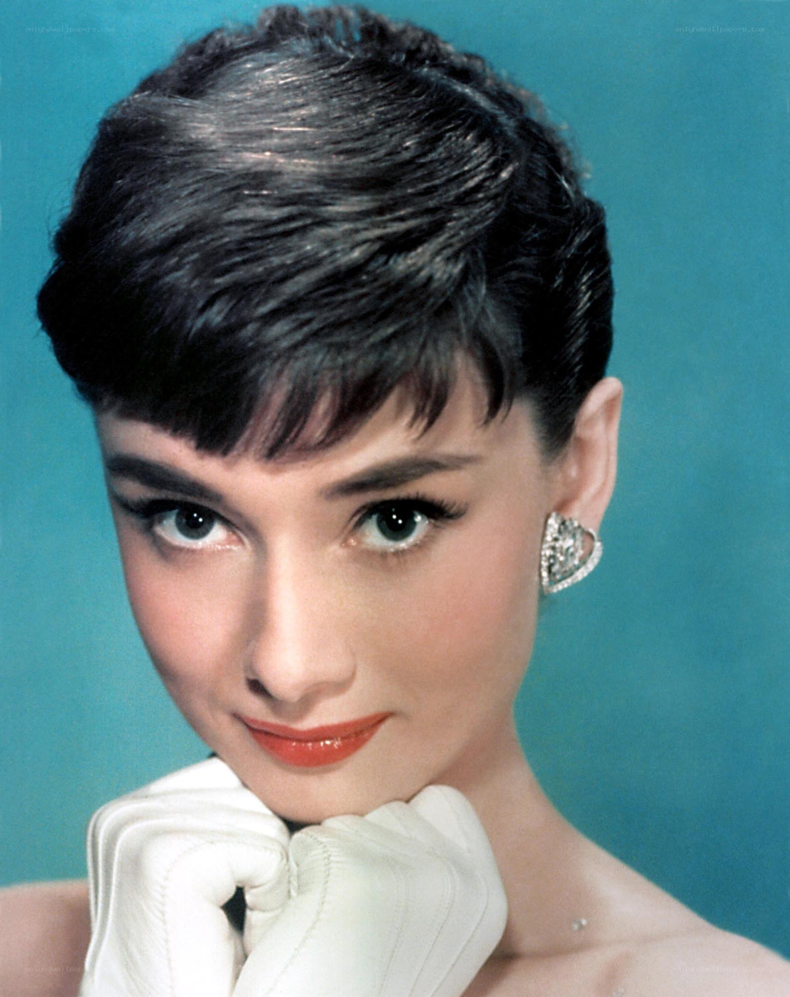 Audrey Hepburn portrait