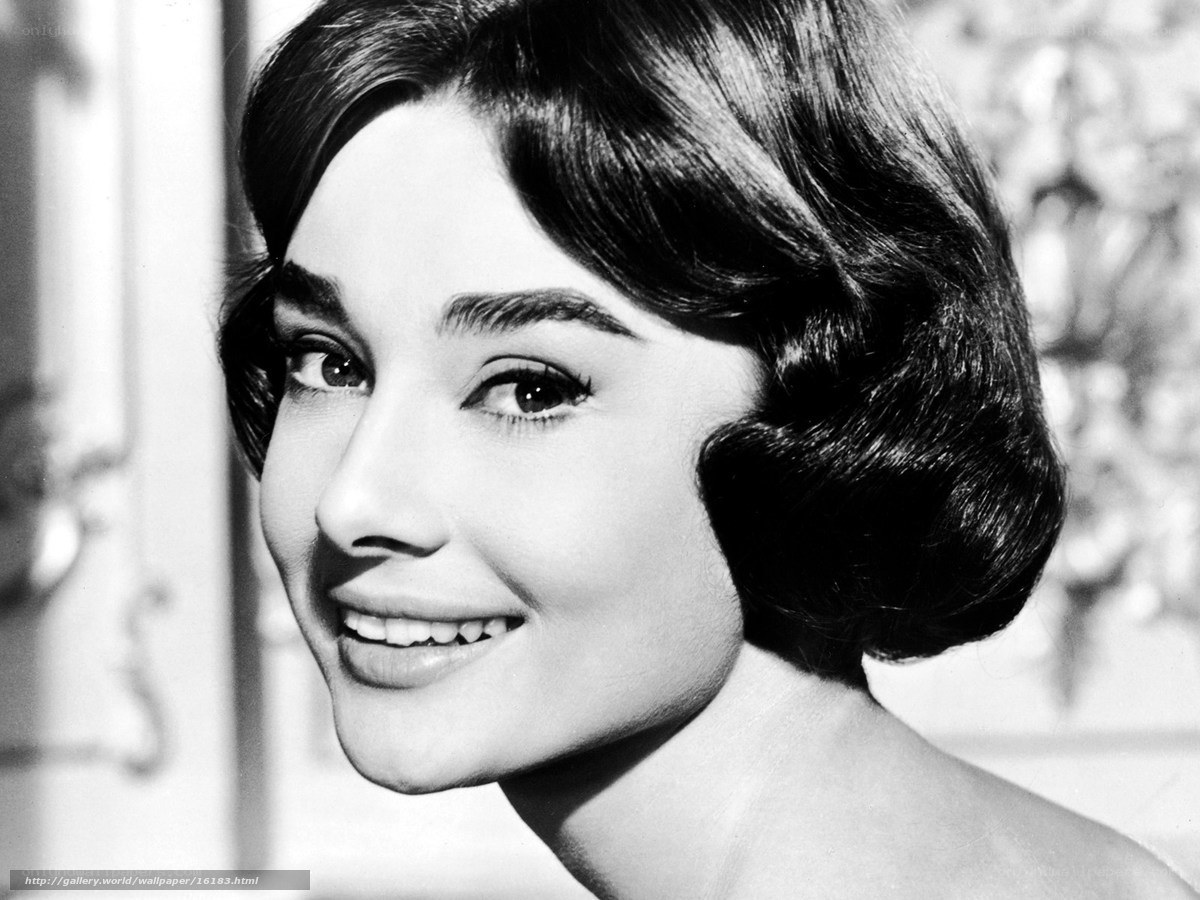 Audrey Hepburn portrait