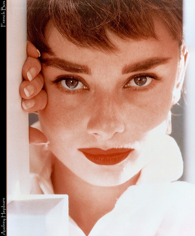 Audrey Hepburn portrait