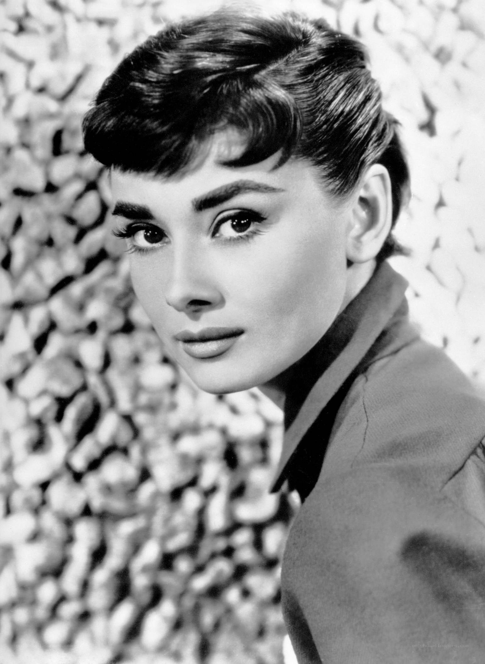 Audrey Hepburn portrait
