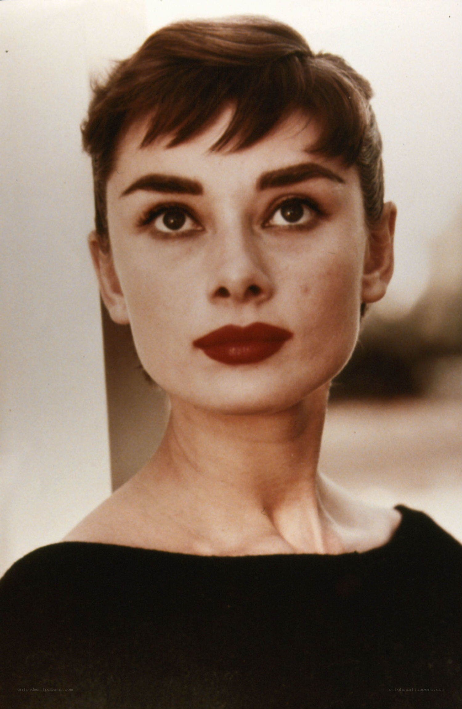 Audrey Hepburn portrait