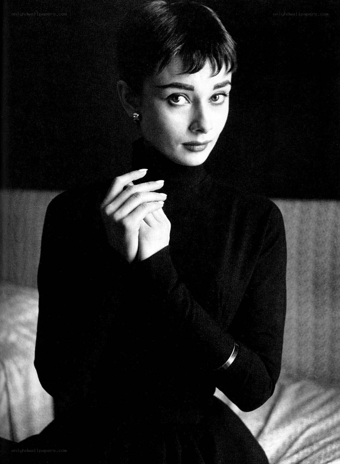 Audrey Hepburn portrait