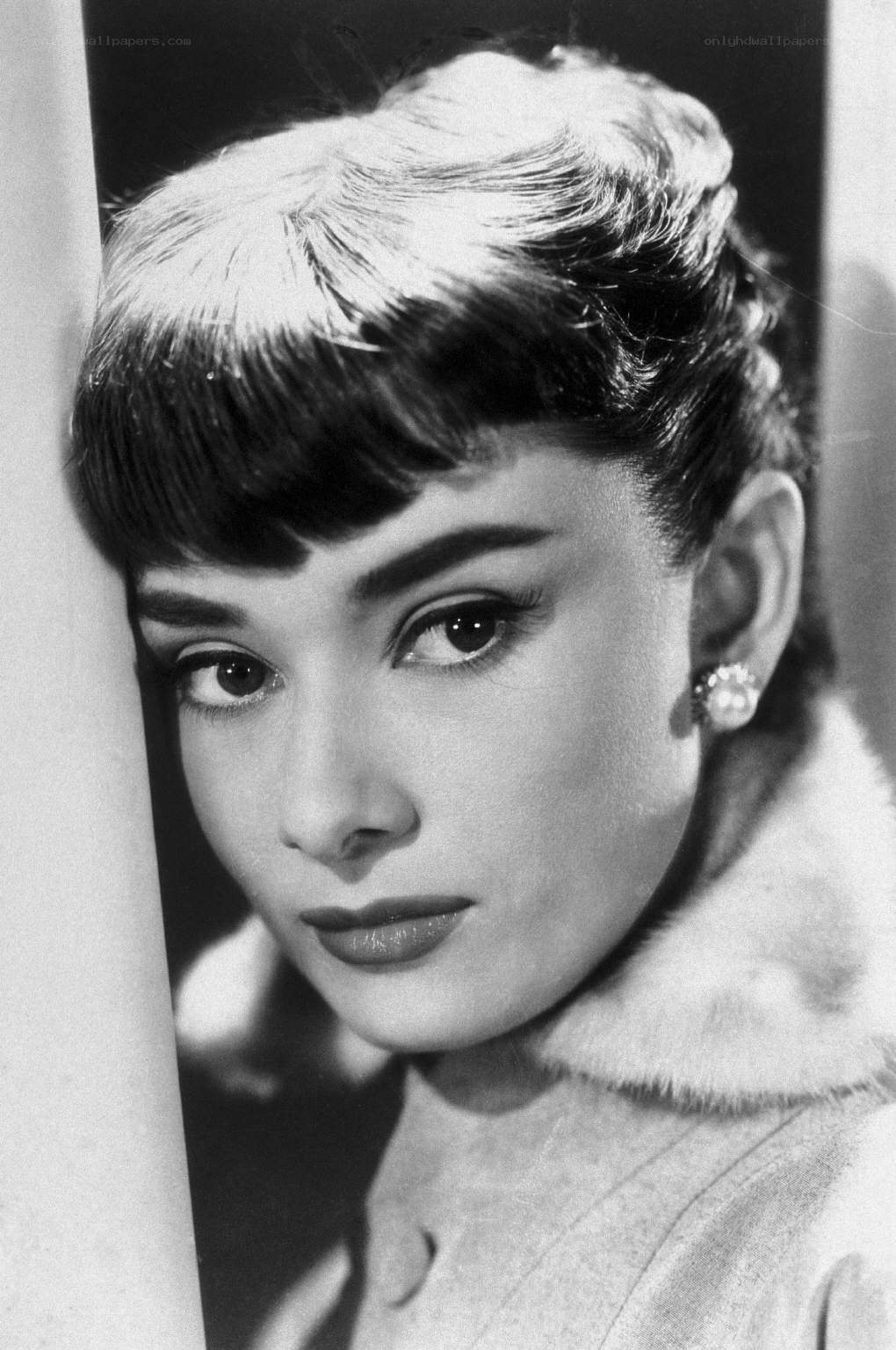 Audrey Hepburn portrait