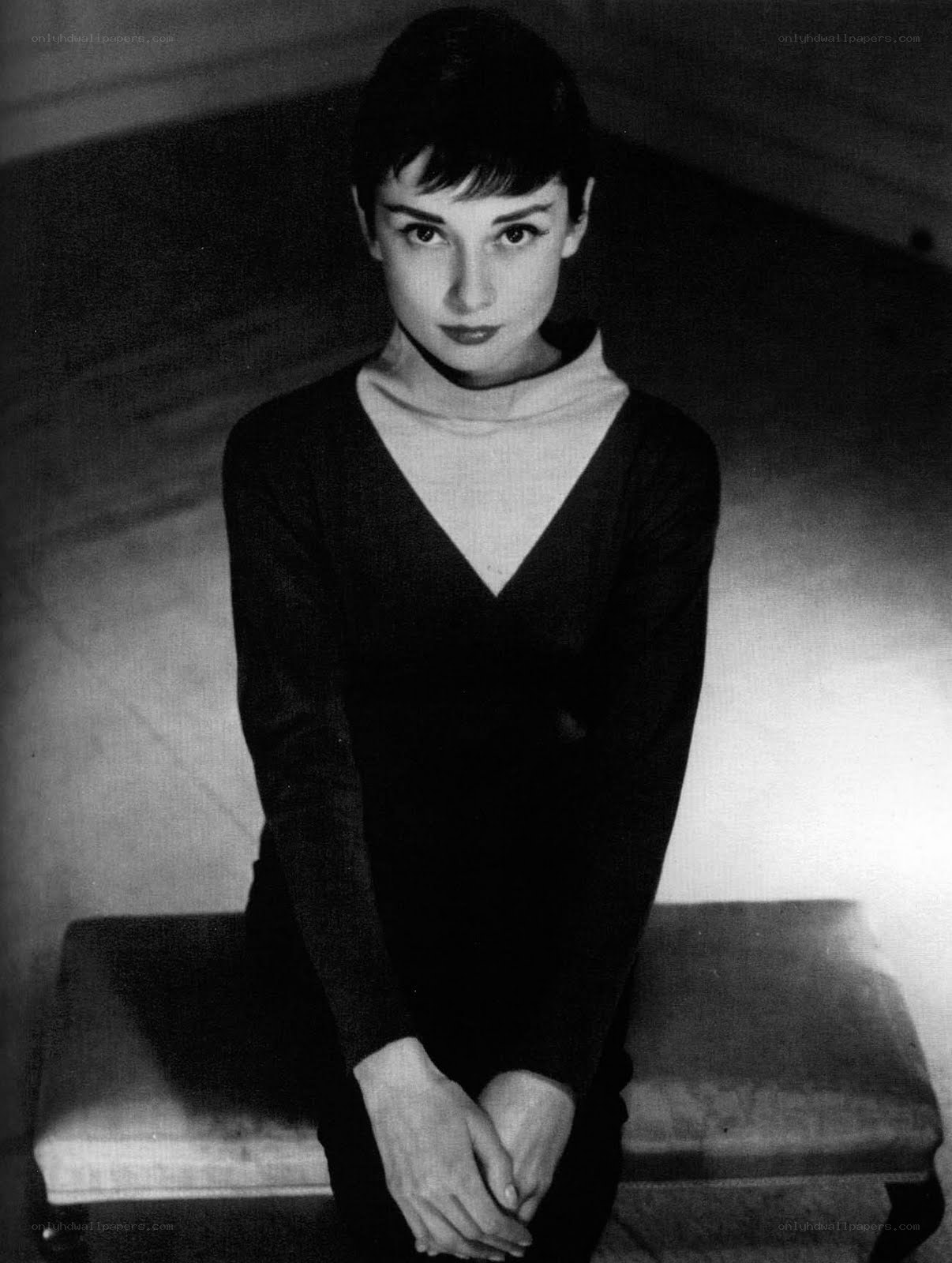 Audrey Hepburn portrait