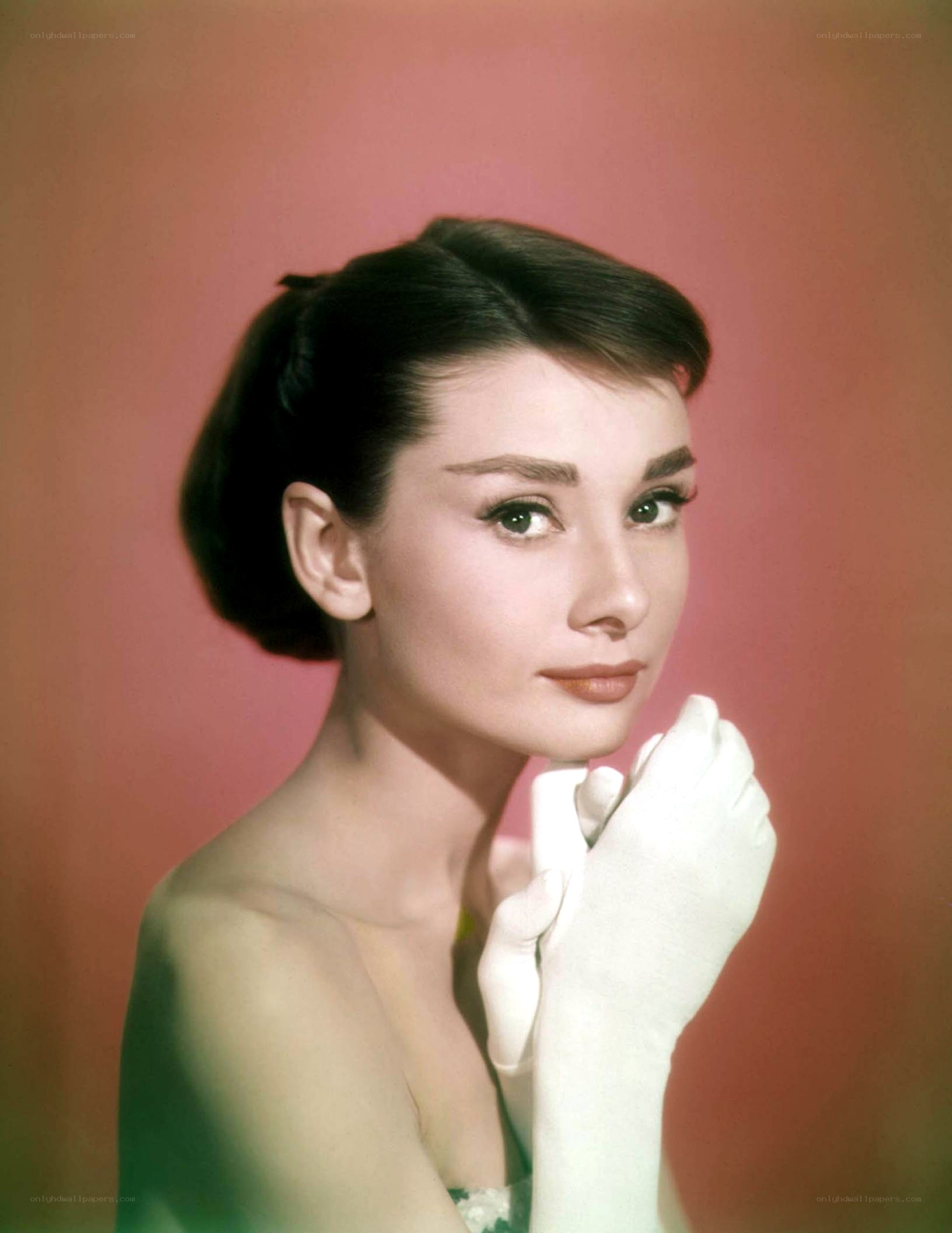 Audrey Hepburn portrait