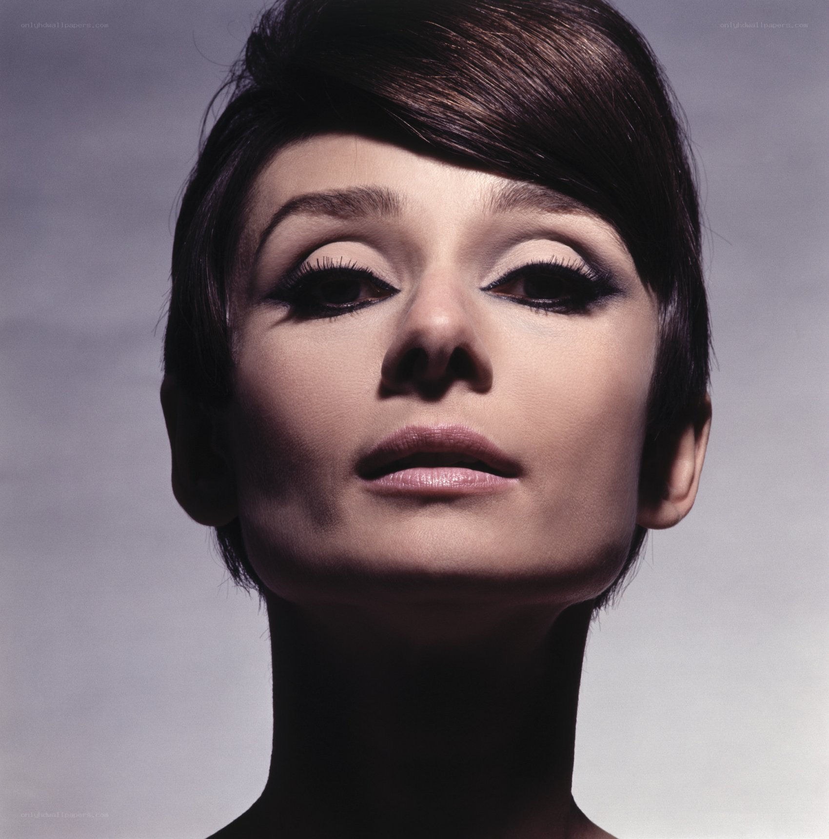 Audrey Hepburn portrait