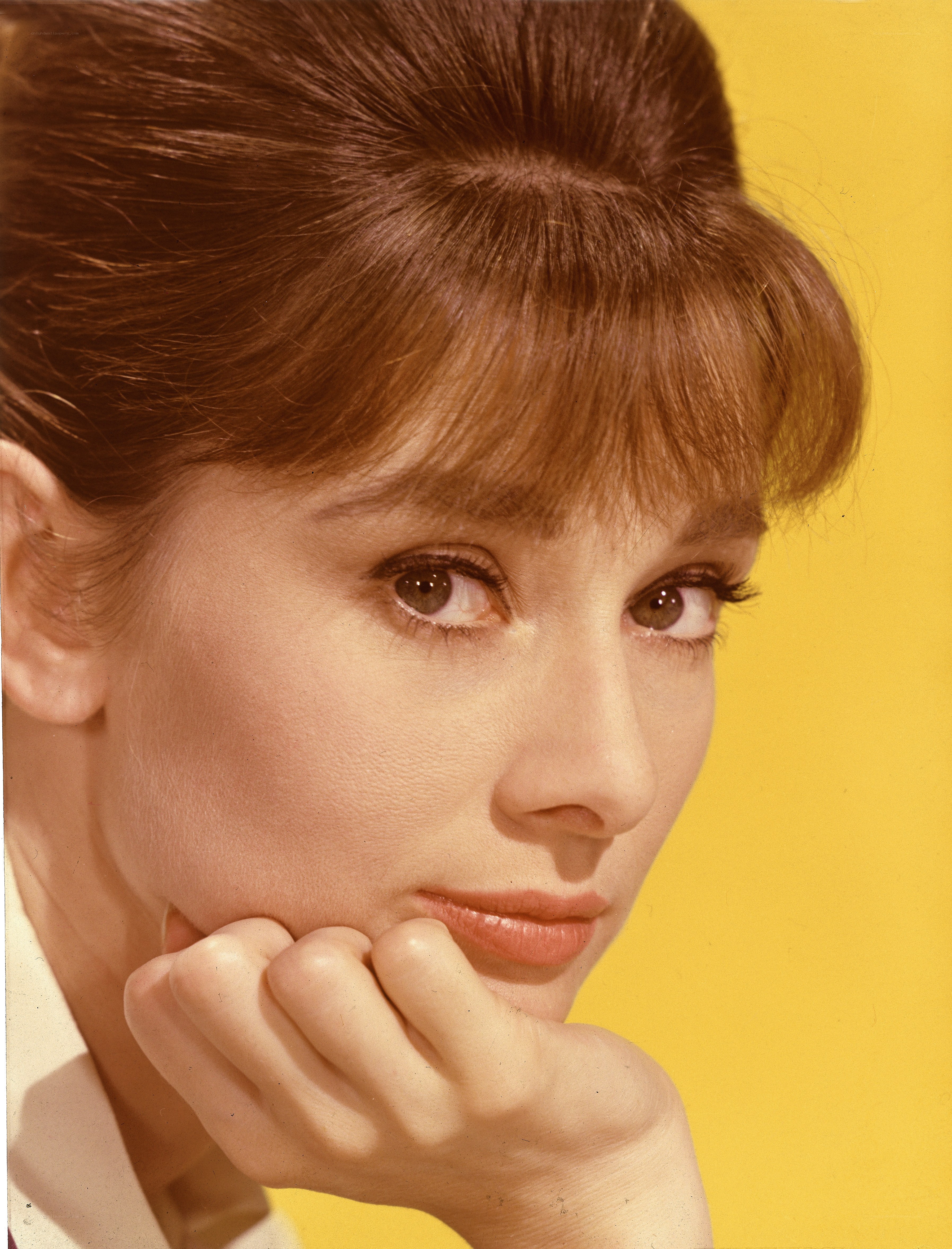 Audrey Hepburn portrait