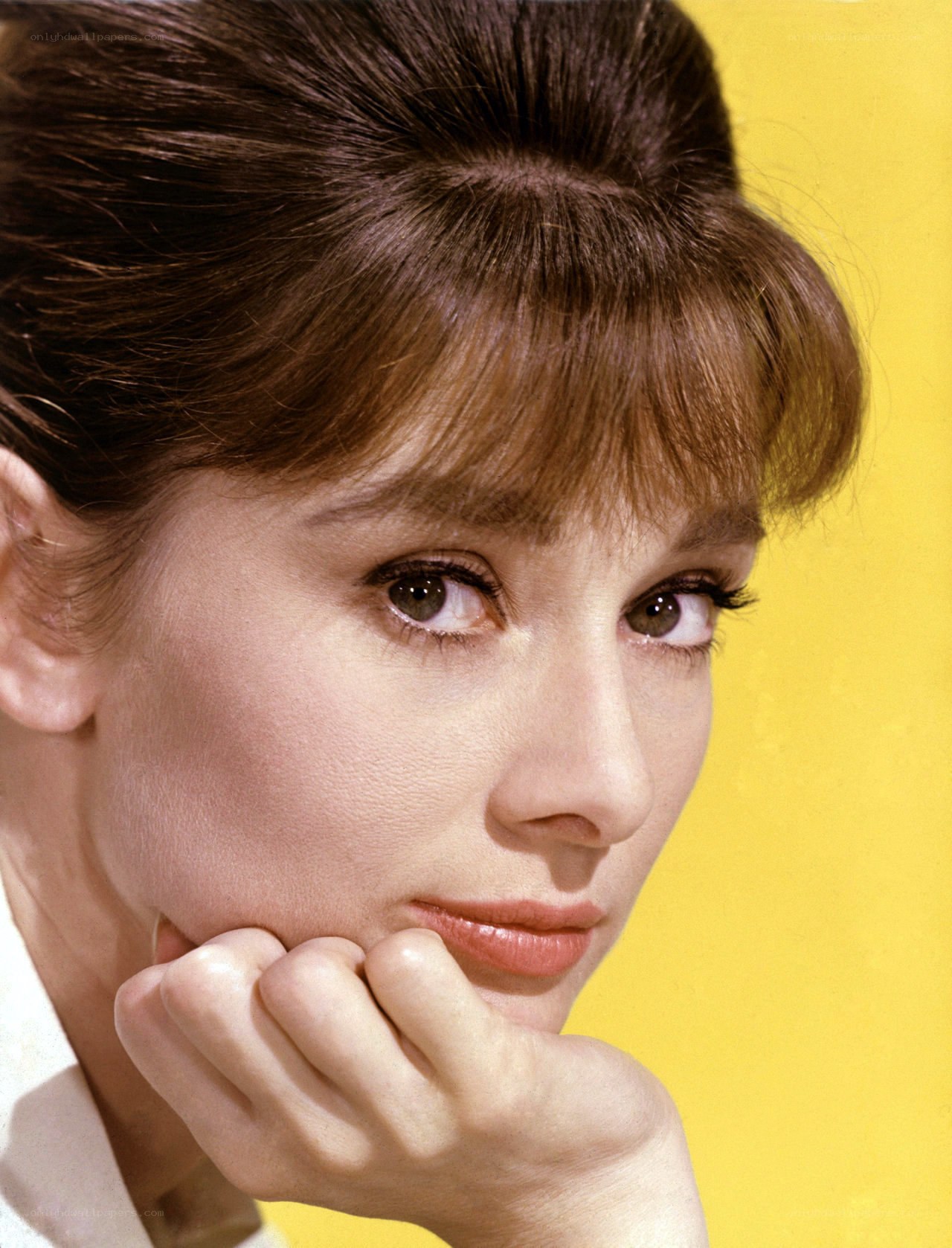 Audrey Hepburn portrait