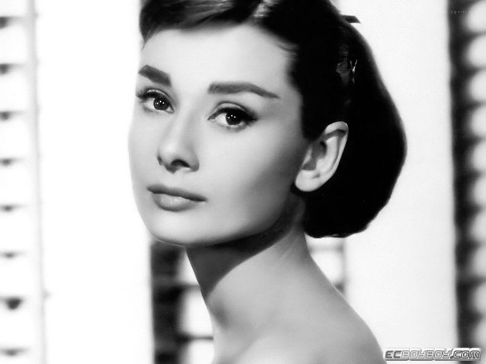 Audrey Hepburn portrait
