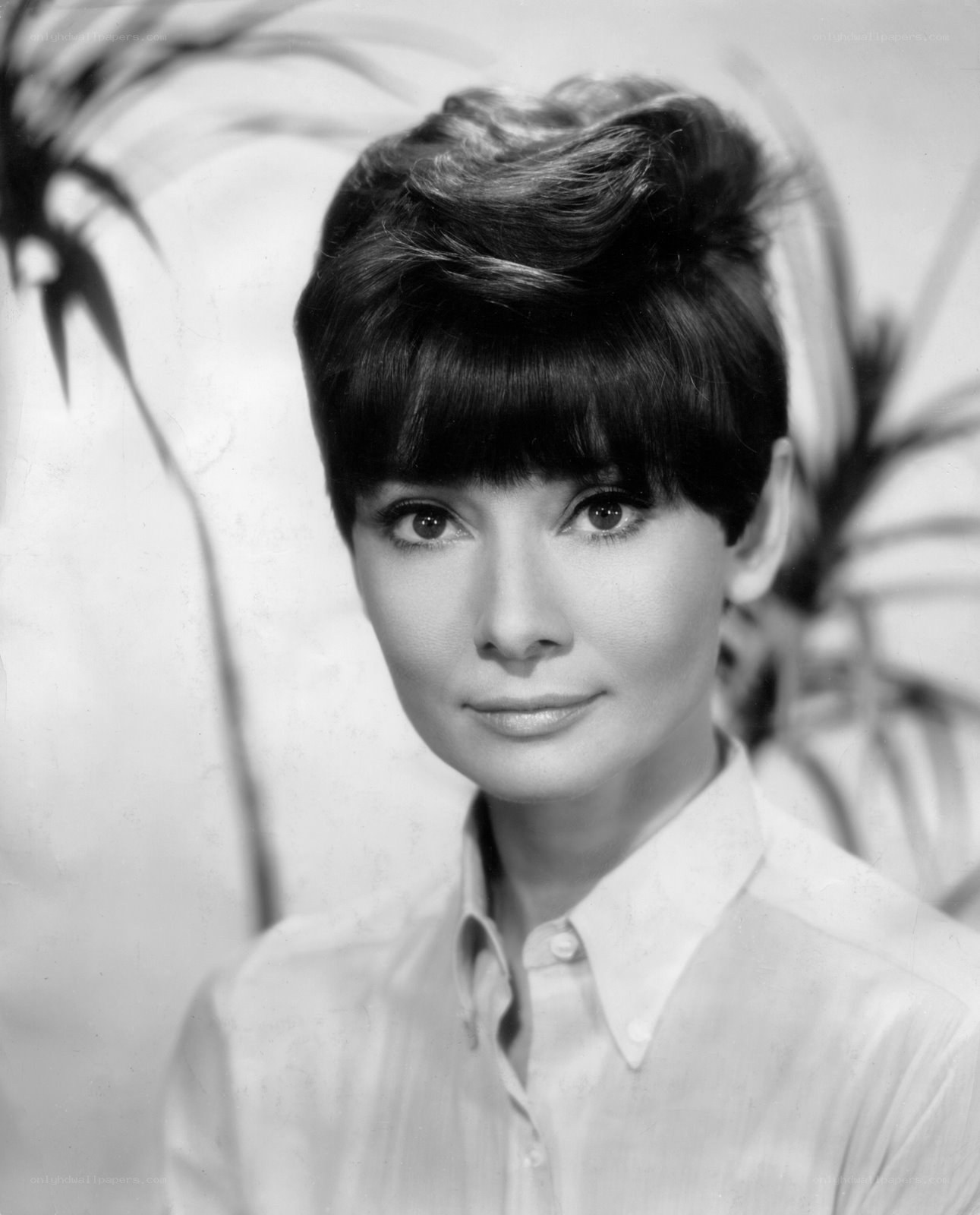 Audrey Hepburn portrait