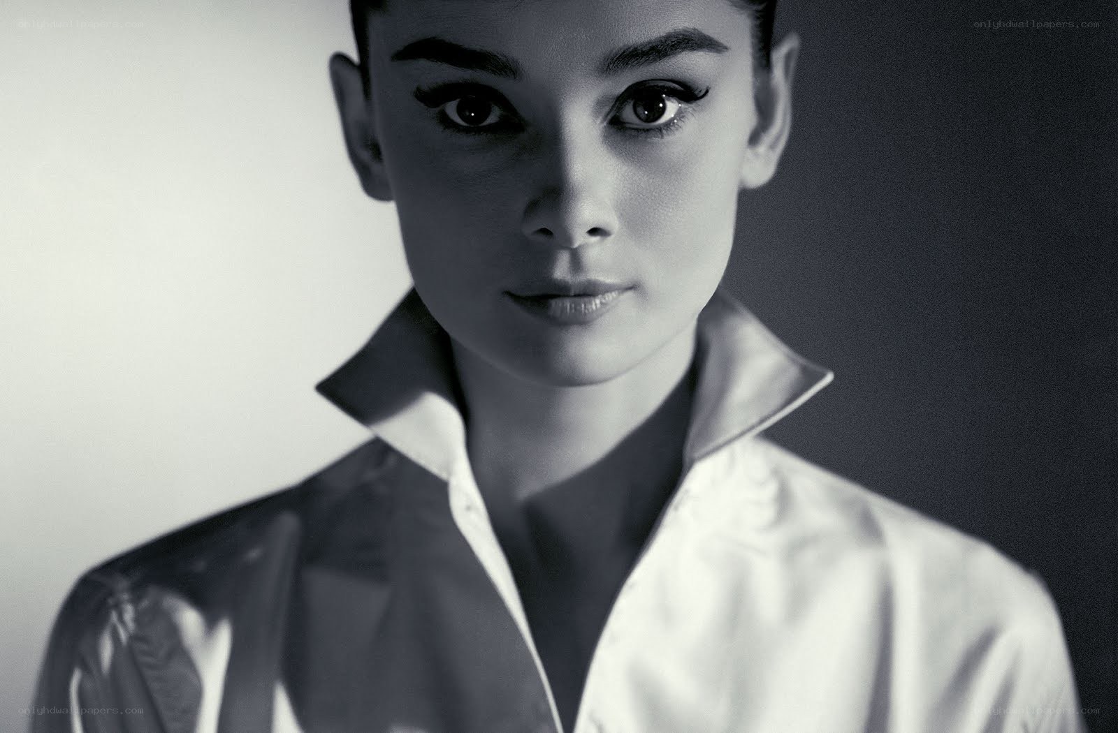 Audrey Hepburn portrait
